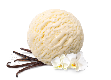 Easy Vanilla Ice Cream